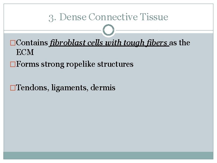 3. Dense Connective Tissue �Contains fibroblast cells with tough fibers as the ECM �Forms