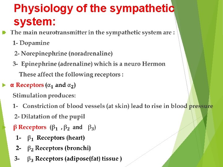 Physiology of the sympathetic system: 