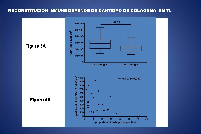 RECONSTITUCION INMUNE DEPENDE DE CANTIDAD DE COLAGENA EN TL Figure 5 A Figure 5