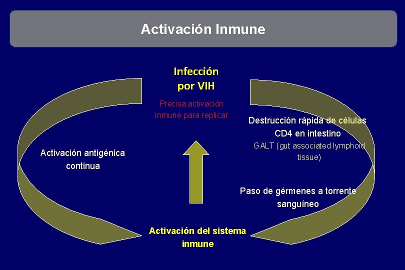 Activación Inmune Infección por VIH Precisa activación inmune para replicar Destrucción rápida de células