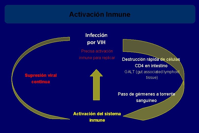 Activación Inmune Infección por VIH Precisa activación inmune para replicar Destrucción rápida de células