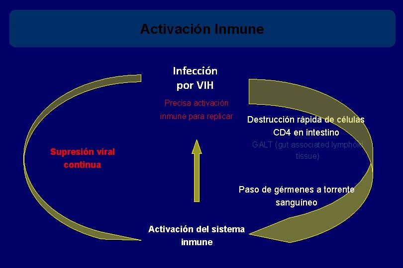 Activación Inmune Infección por VIH Precisa activación inmune para replicar Destrucción rápida de células