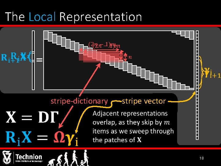 The Local Representation = stripe-dictionary stripe vector 18 