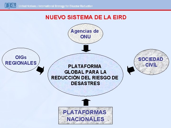 NUEVO SISTEMA DE LA EIRD Agencias de ONU OIGs REGIONALES PLATAFORMA GLOBAL PARA LA