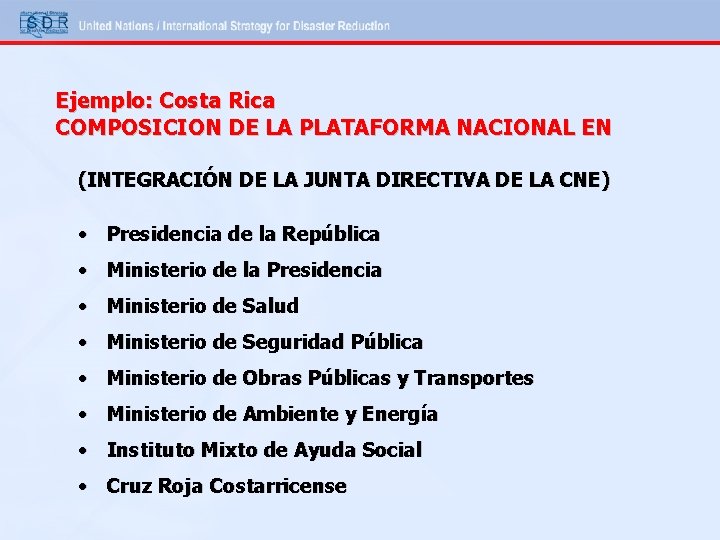 Ejemplo: Costa Rica COMPOSICION DE LA PLATAFORMA NACIONAL EN (INTEGRACIÓN DE LA JUNTA DIRECTIVA