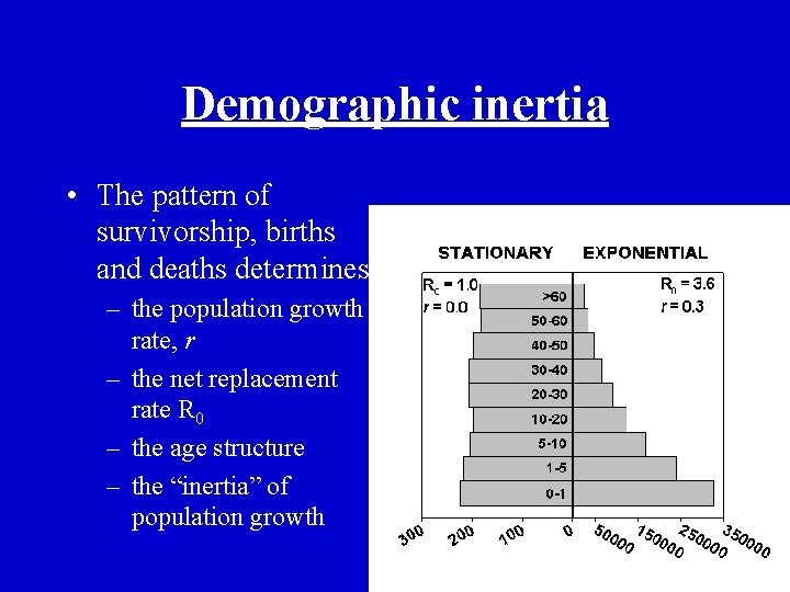 Demographic inertia • The pattern of survivorship, births and deaths determines: – the population