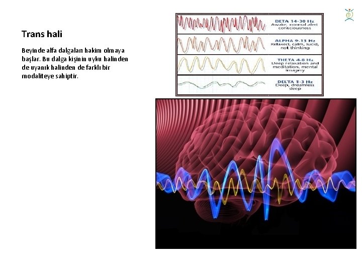 Trans hali Beyinde alfa dalgaları hakim olmaya başlar. Bu dalga kişinin uyku halinden de