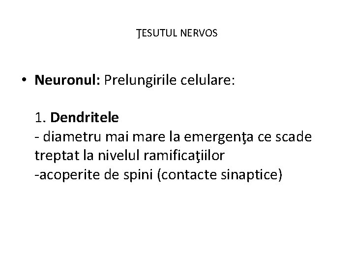 ŢESUTUL NERVOS • Neuronul: Prelungirile celulare: 1. Dendritele - diametru mai mare la emergenţa