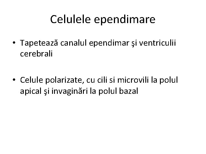 Celulele ependimare • Tapetează canalul ependimar şi ventriculii cerebrali • Celule polarizate, cu cili