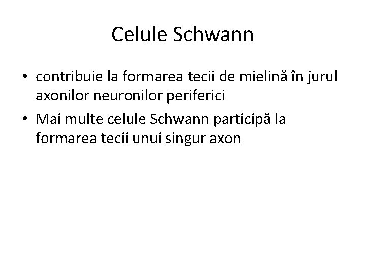 Celule Schwann • contribuie la formarea tecii de mielină în jurul axonilor neuronilor periferici