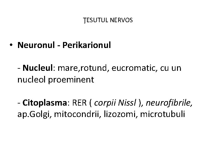 ŢESUTUL NERVOS • Neuronul - Perikarionul - Nucleul: mare, rotund, eucromatic, cu un nucleol