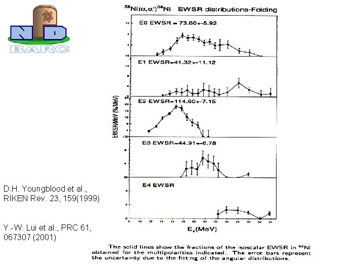 D. H. Youngblood et al. , RIKEN Rev. 23, 159(1999) Y. -W. Lui et