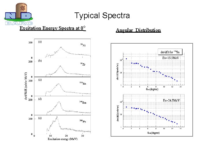 Typical Spectra Excitation Energy Spectra at 0 o Angular Distribution 