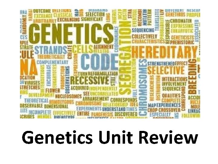 Genetics Unit Review 