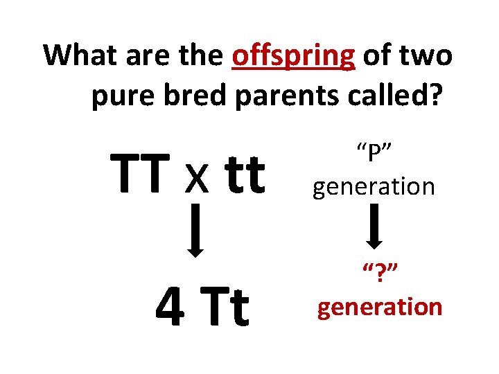 What are the offspring of two pure bred parents called? TT x tt 4
