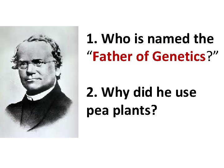 1. Who is named the “Father of Genetics? ” 2. Why did he use