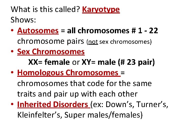 What is this called? Karyotype Shows: • Autosomes = all chromosomes # 1 -
