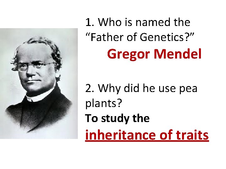 1. Who is named the “Father of Genetics? ” Gregor Mendel 2. Why did