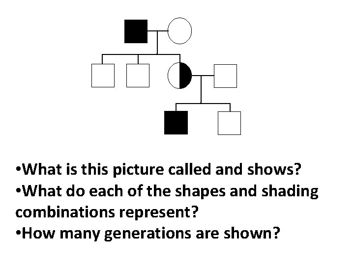 • What is this picture called and shows? • What do each of