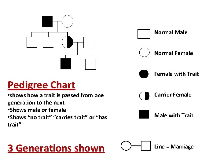 Normal Male Normal Female with Trait Pedigree Chart • shows how a trait is
