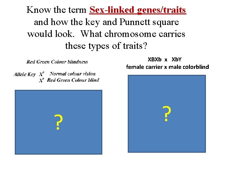 Know the term Sex-linked genes/traits and how the key and Punnett square would look.