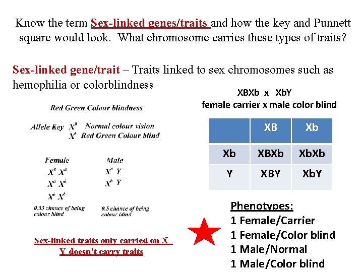 Know the term Sex-linked genes/traits and how the key and Punnett square would look.