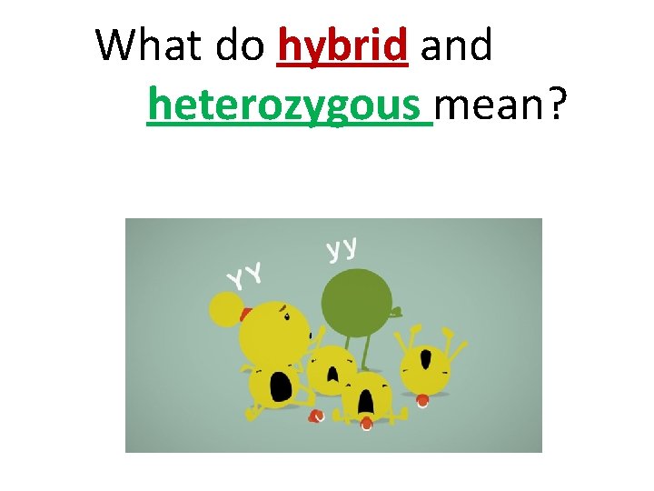 What do hybrid and heterozygous mean? 