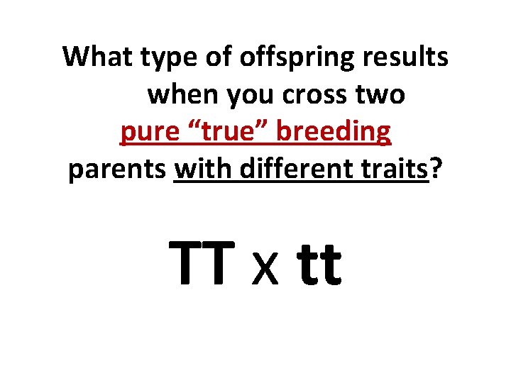 What type of offspring results when you cross two pure “true” breeding parents with