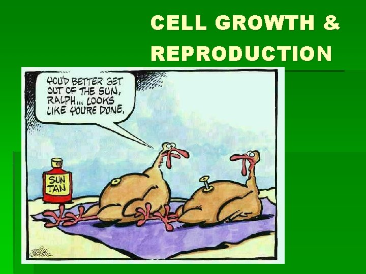 CELL GROWTH & REPRODUCTION CELL GROWTH & REPRODUCTION