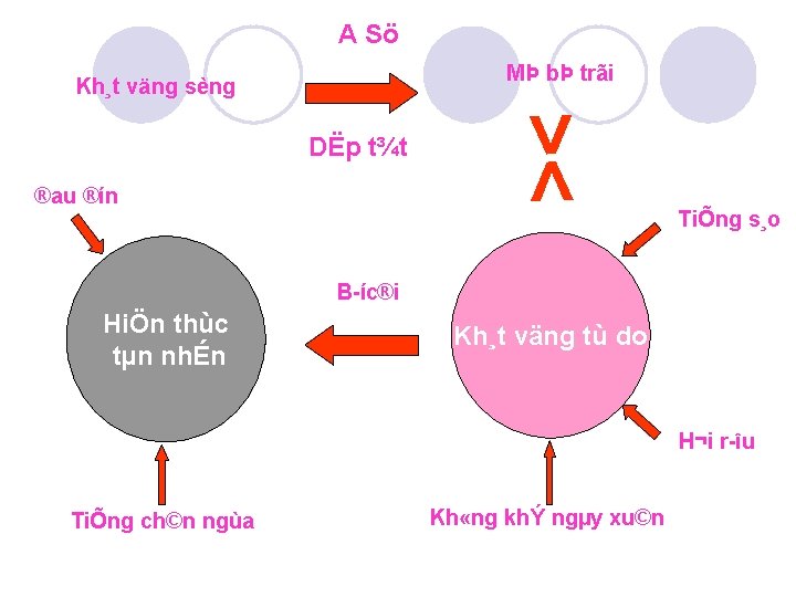 A Sö DËp t¾t ®au ®ín >< MÞ bÞ trãi Kh¸t väng sèng TiÕng