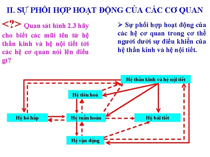 II. SỰ PHỐI HỢP HOẠT ĐỘNG CỦA CÁC CƠ QUAN <? > Quan sát II. SỰ PHỐI HỢP HOẠT ĐỘNG CỦA CÁC CƠ QUAN <? > Quan sát