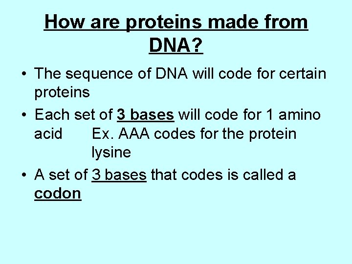 How are proteins made from DNA? • The sequence of DNA will code for