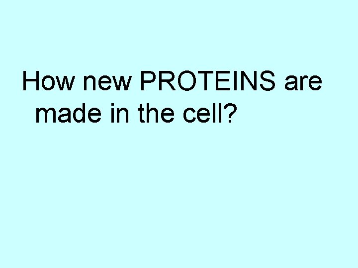 How new PROTEINS are made in the cell? 