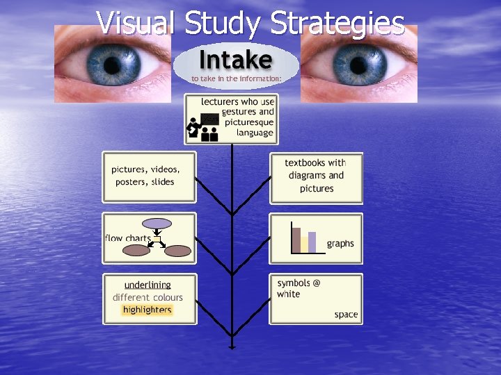 Visual Study Strategies 