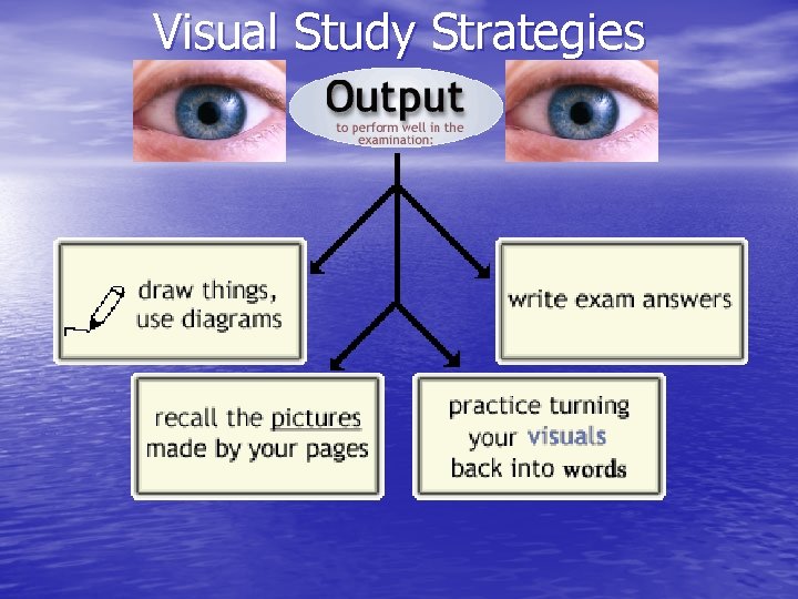 Visual Study Strategies 