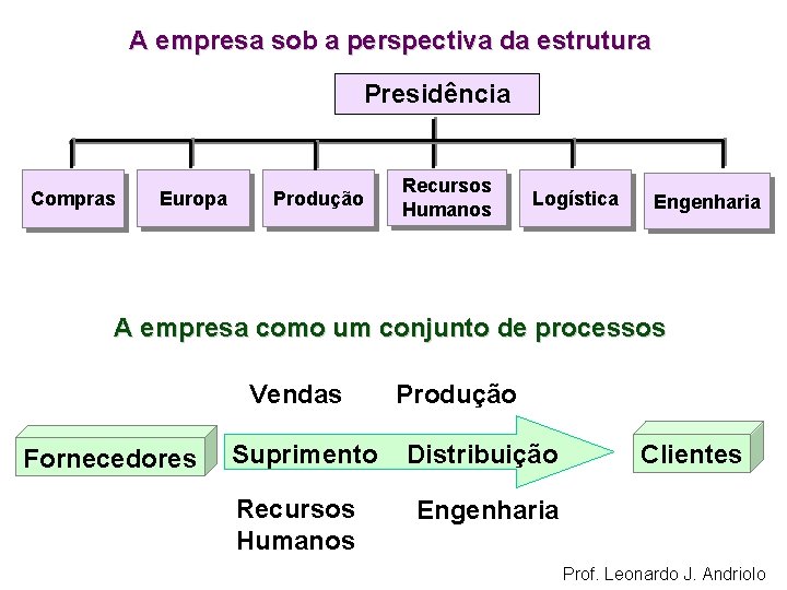 A empresa sob a perspectiva da estrutura Presidência Compras Europa Produção Recursos Humanos Logística