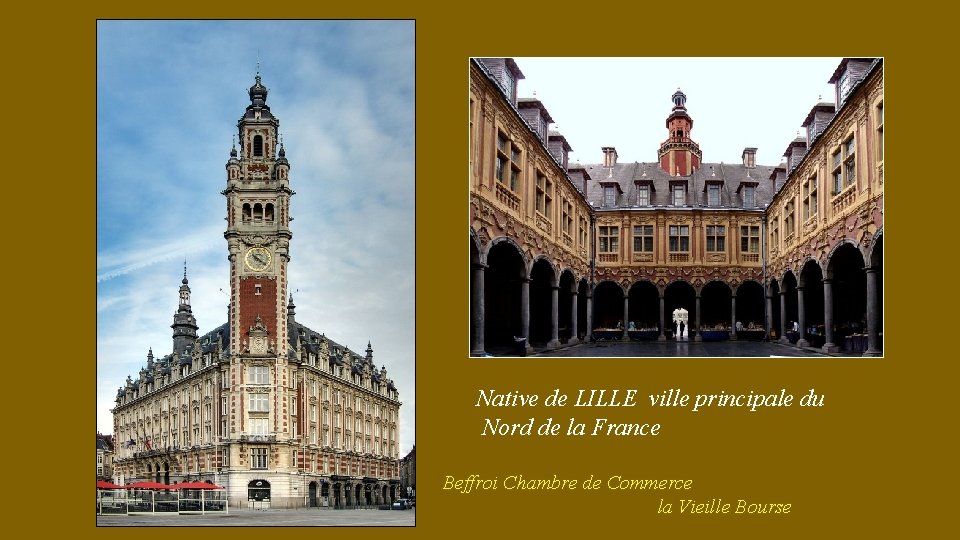 Native de LILLE ville principale du Nord de la France Beffroi Chambre de Commerce