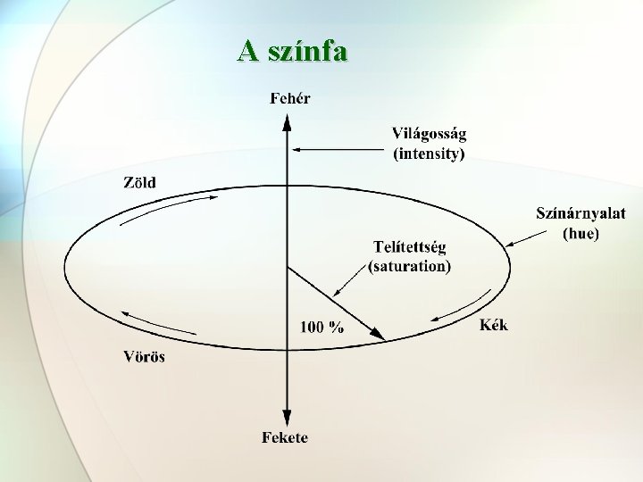 A színfa 