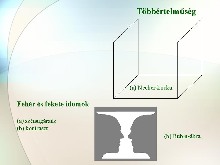 Többértelműség (a) Necker-kocka Fehér és fekete idomok (a) szétsugárzás (b) kontraszt (b) Rubin-ábra 