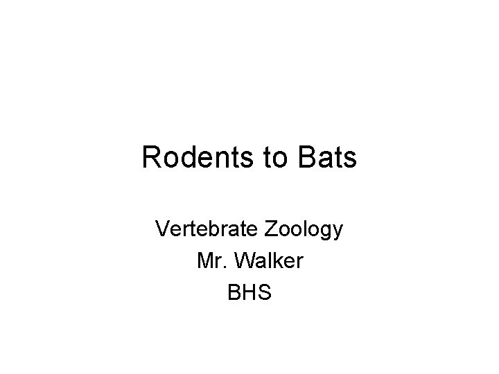 Rodents to Bats Vertebrate Zoology Mr. Walker BHS 