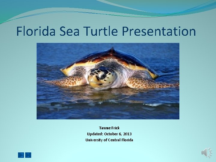 Florida Sea Turtle Presentation Tawne Frick Updated: October 6, 2013 University of Central Florida