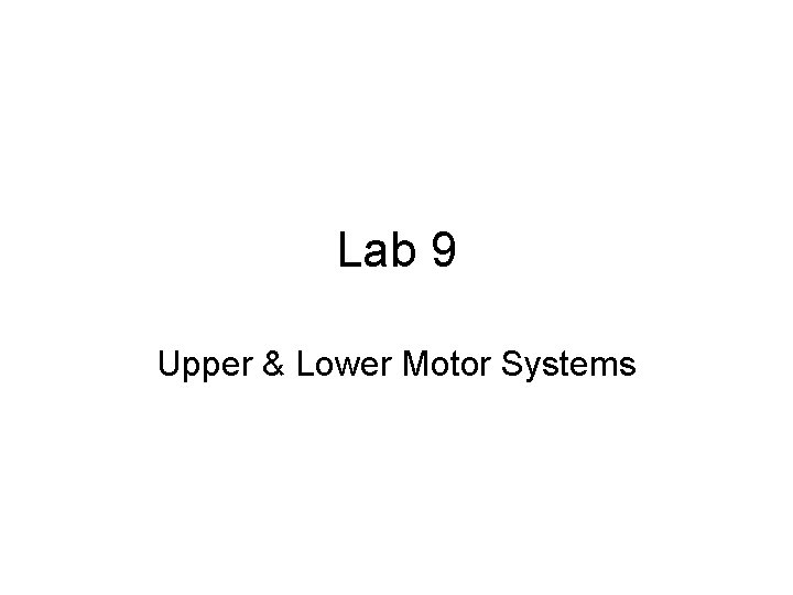 Lab 9 Upper & Lower Motor Systems 