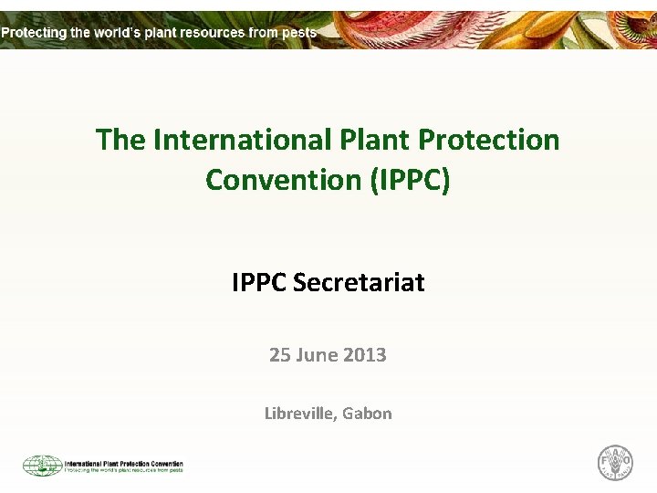 The International Plant Protection Convention (IPPC) IPPC Secretariat 25 June 2013 Libreville, Gabon 