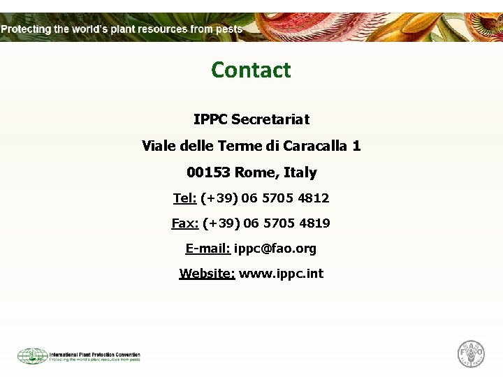 Contact IPPC Secretariat Viale delle Terme di Caracalla 1 00153 Rome, Italy Tel: (+39)