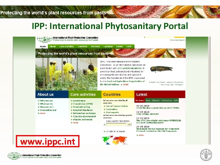 IPP: International Phytosanitary Portal www. ippc. int 