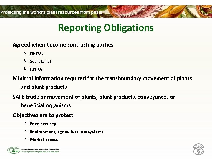 Reporting Obligations Agreed when become contracting parties Ø NPPOs Ø Secretariat Ø RPPOs Minimal