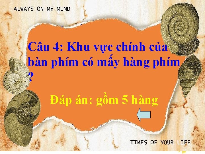 Câu 4: Khu vực chính của bàn phím có mấy hàng phím ? Đáp