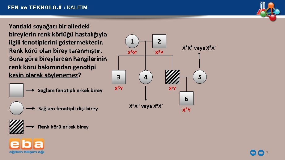 FEN ve TEKNOLOJİ / KALITIM Yandaki soyağacı bir ailedeki bireylerin renk körlüğü hastalığıyla ilgili