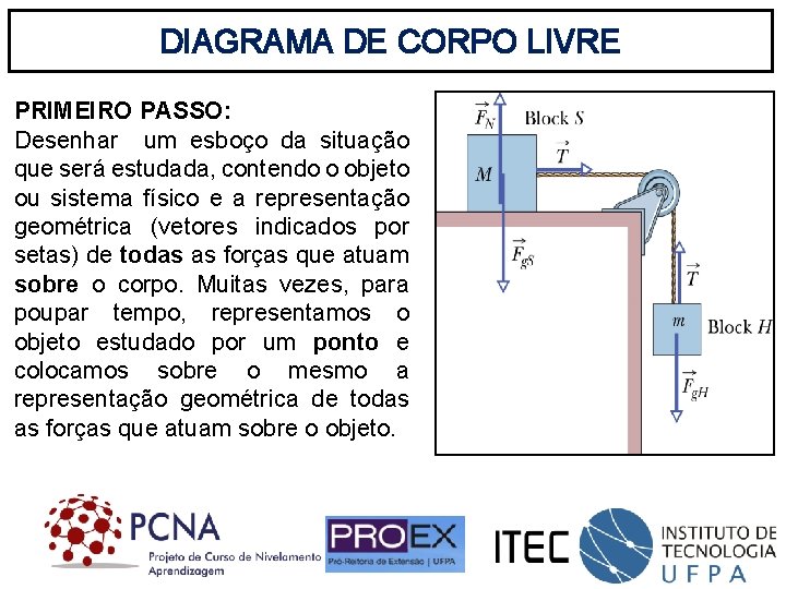 DIAGRAMA DE CORPO LIVRE PRIMEIRO PASSO: Desenhar um esboço da situação que será estudada,