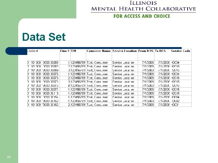 Data Set 55 